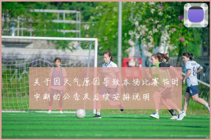 关于因天气原因导致本场比赛临时中断的公告及后续安排说明